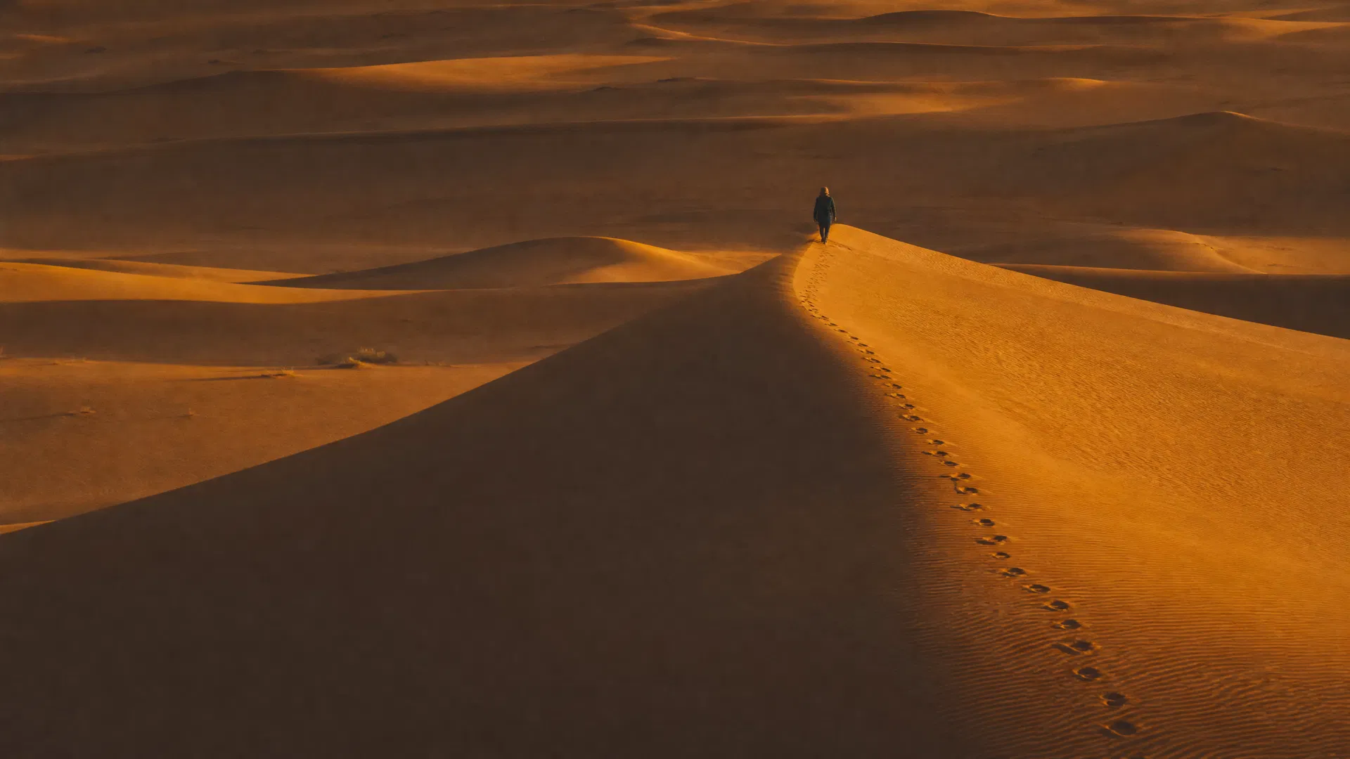 A Single Crossing — Erg Chebbi, Morocco