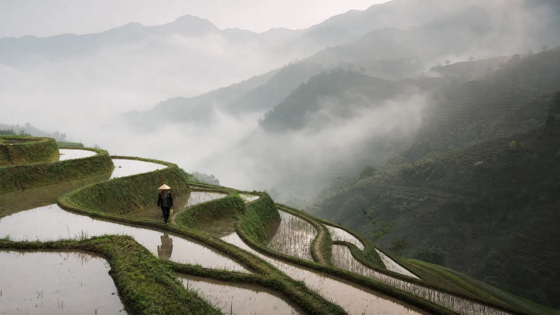 Terraces in Fog — Mù Cang Chải, Vietnam